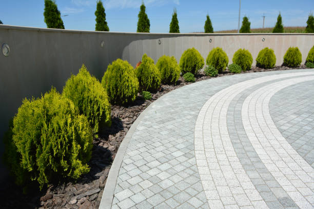 Best Local Driveway Pavers  in Lake Mary, FL